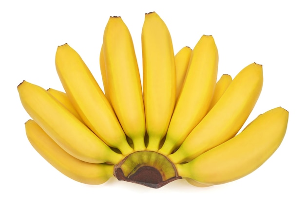 Banana baby bunch isolated on white background Perfectly retouched full depth of field on the photo Top view flat lay