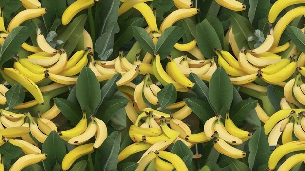 Banana background