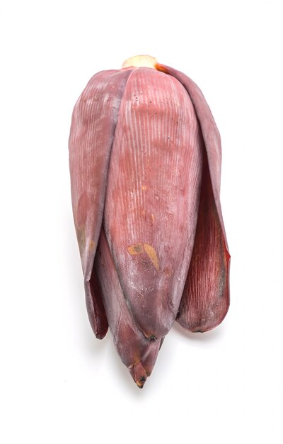 banana blossom on white background