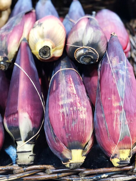 Photo banana flowers