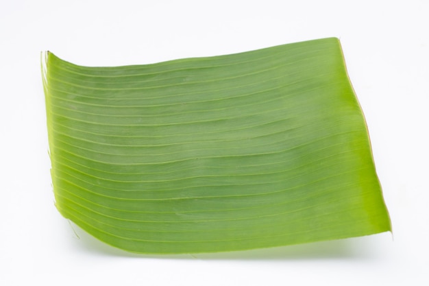 Banana leaf on white background