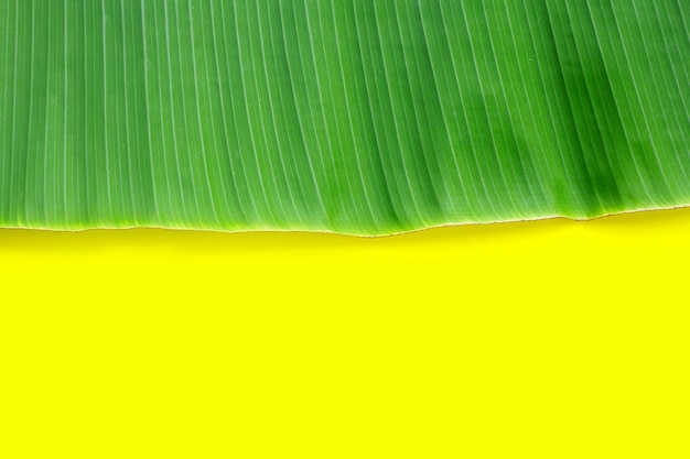 Banana leaf on yellow background