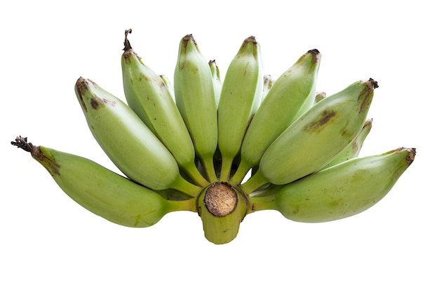 Banana unripe one bunch on white background