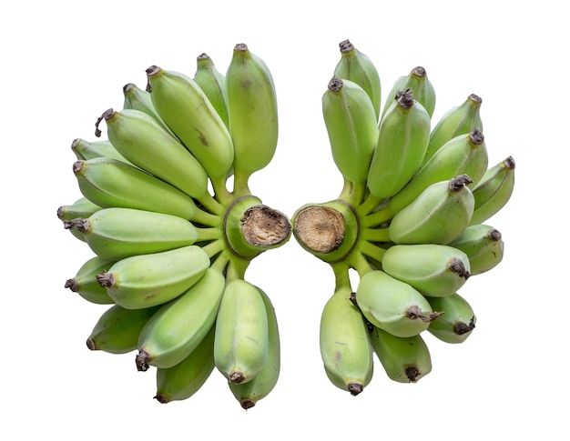 Banana unripe two bunch