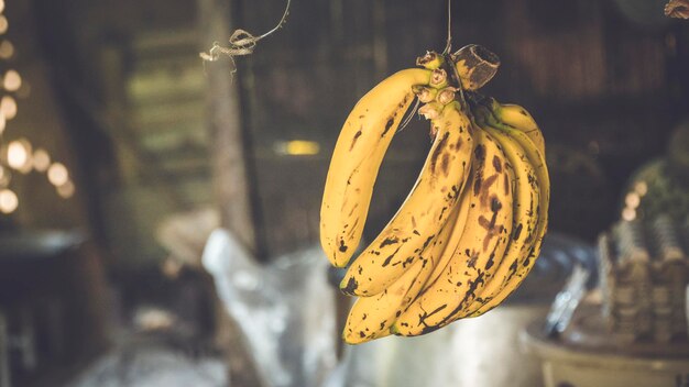 Foto banane appese a un muro in una casa del villaggio locale