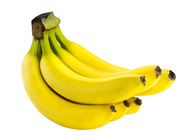 The bananas isolated on the white background