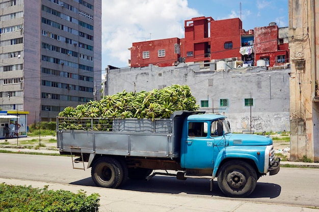 Photo bananas in pick-up truck on street in city