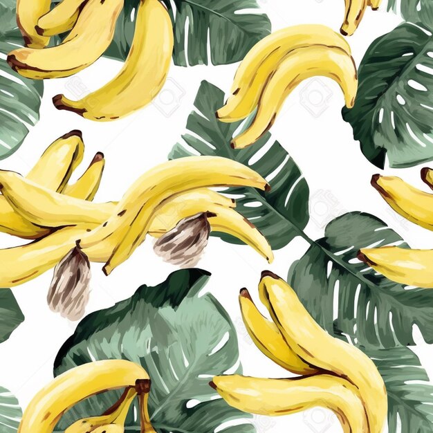 Photo bananas on a white background.