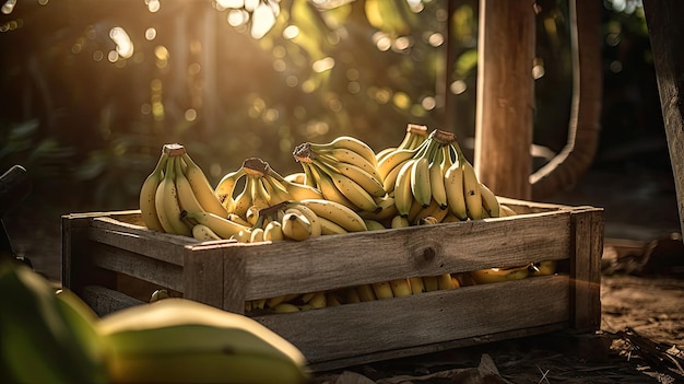 Foto banane in una cassa di legno in una giungla