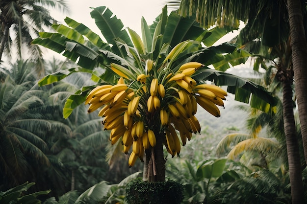 Bananenboom in een tropisch paradijs