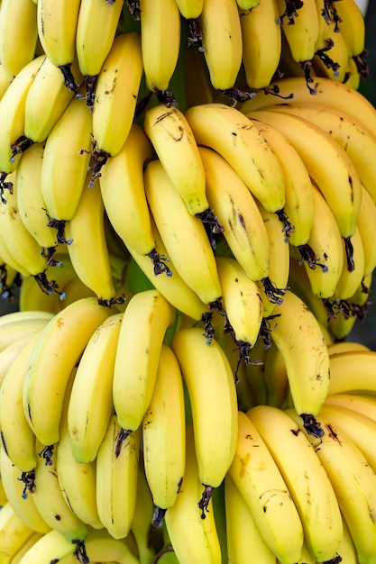 Bananenboom met bos groeiende rijpe groene bananen (Turkije / Alanya)