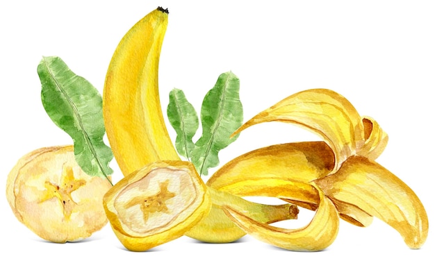 Bananenelementen aquarel collage