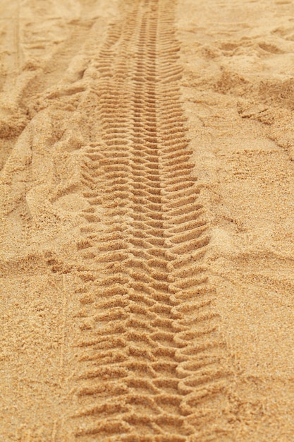 Bandensporen in het zand