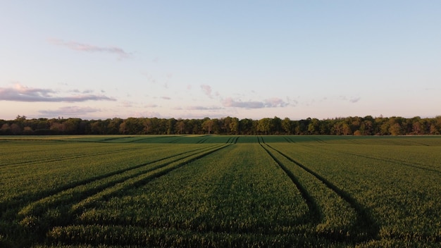 Bandensporen op een veld