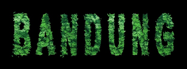 Bandung lettering Bandung Forest Ecology Concept