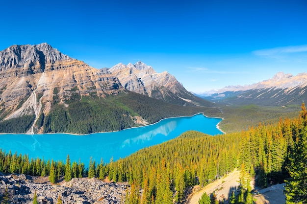 Photo banff national park alberta canada a huge panorama of lake peyto landscape during daylight hours a lake in a river valley mountains and forest natural landscape