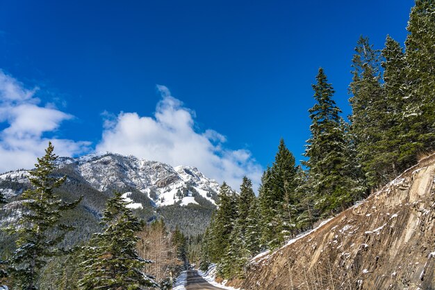 Banff National Park prachtig landschap in de winter Canadese Rockies Alberta Canada