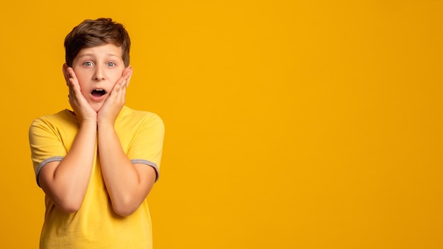 Bang kind probleem angst omg reactie stress problemen portret van overweldigd geschokt jongetje