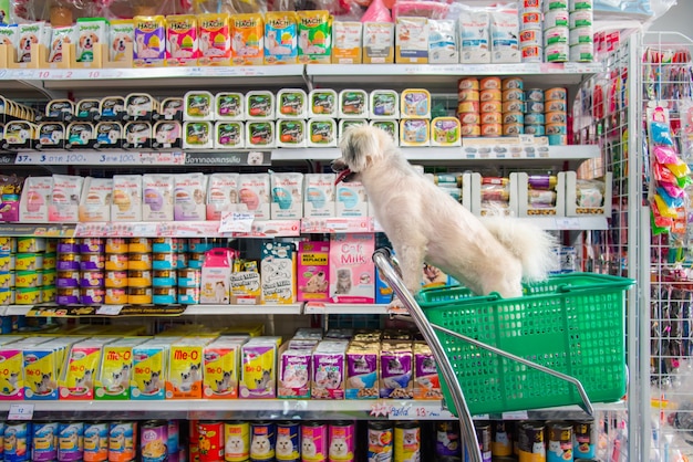 Bangkok, thailand - april 8, 2017 : dog so cute wait a pet\
owner shopping by selecting a variety accessories or pet food from\
pet goods shelf in petshop for her dog open daily for service\
everyday.