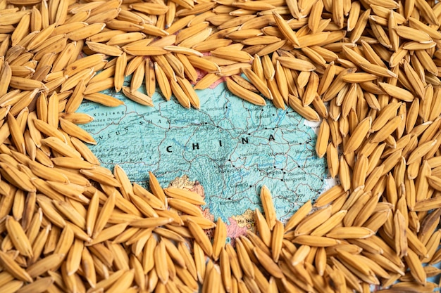 Bangkok, Thailand May 14, 2023 Brown rice paddy seeds on China map, rice export ban trigger a global food crisis concept.