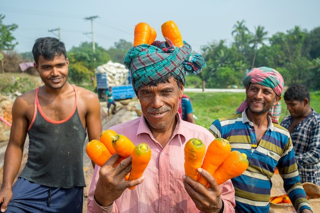 Bangladesh January 24 2020 Farmers and workers are having to fun at working time after cutting fresh carrots at Savar Dhaka Bangladesh