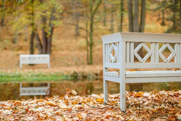 Foto banca nel parco