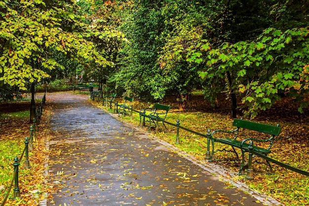 Bank in groen park met wegmanier