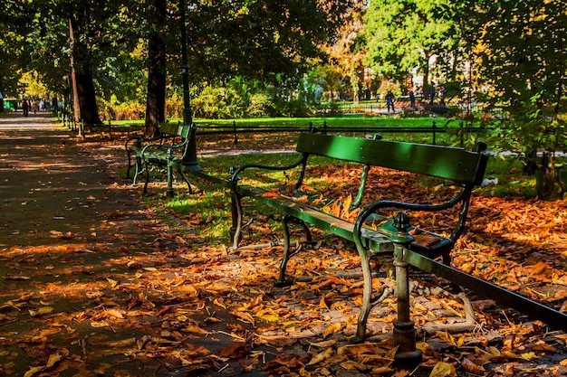 Bank in groen park met wegmanier