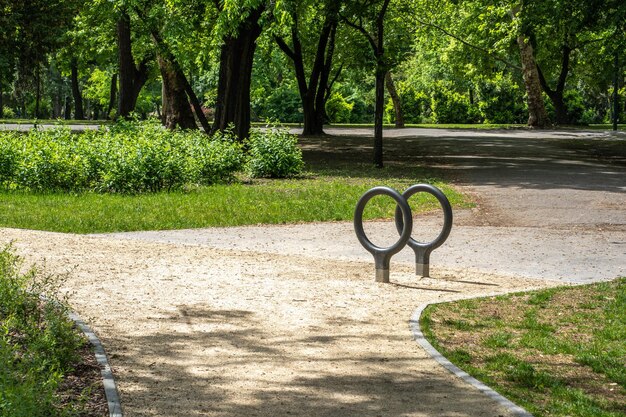 Foto bank in het park.