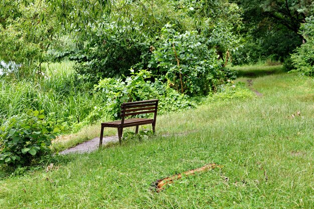 Bank in het park.