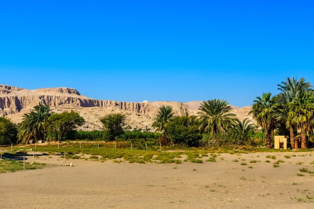 Bank of nile river in luxor egypt