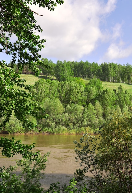 the bank of the river inya