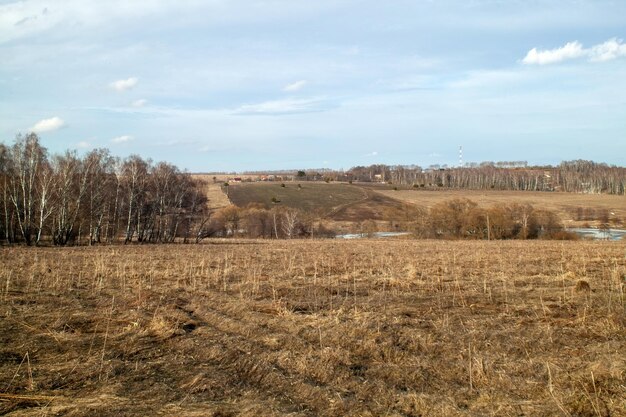 The bank of a small river in early spring