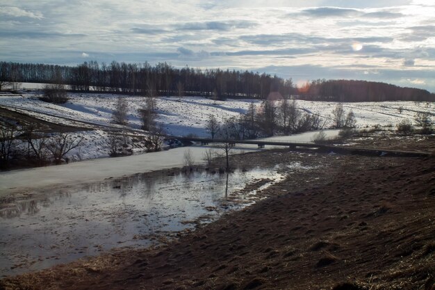 Foto la riva di un piccolo fiume all'inizio della primavera