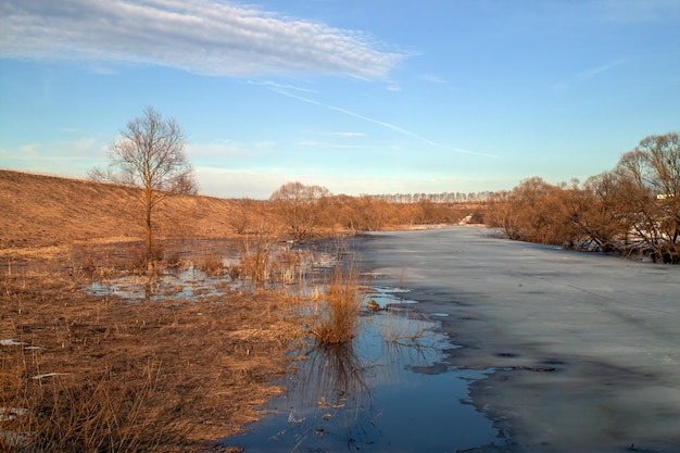 Foto la riva di un piccolo fiume all'inizio della primavera