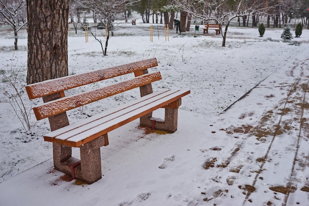 Banken in het winterse stadspark Gevuld met sneeuw