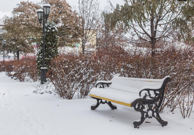 Banken in het winterse stadspark