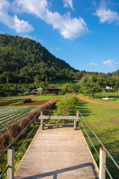 Banken met uitzicht op de bergen op de boerderij in Rai Napa - Phupha, Chiang Mai, Thailand.