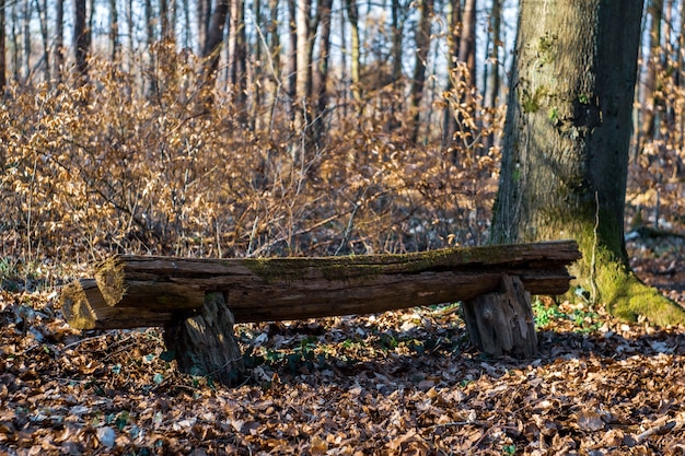 Bankje in de herfstpark