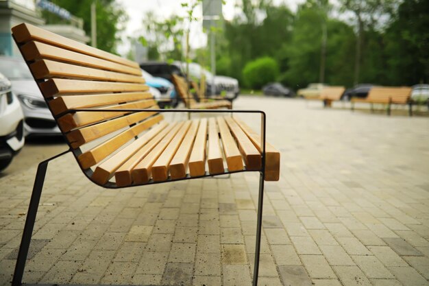 Bankje in een park op een zonnige herfstochtend Ochtendwandeling