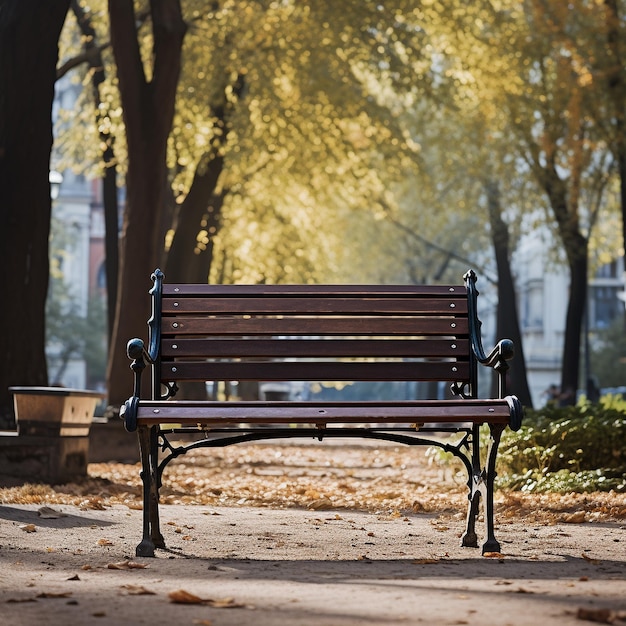 Bankje in een park