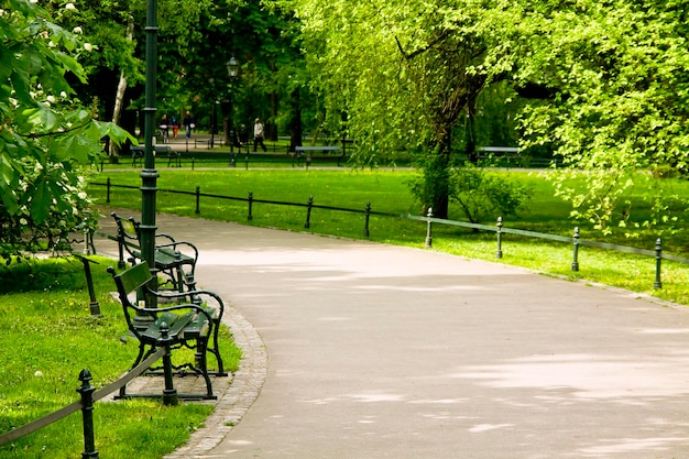 Bankje in groen park