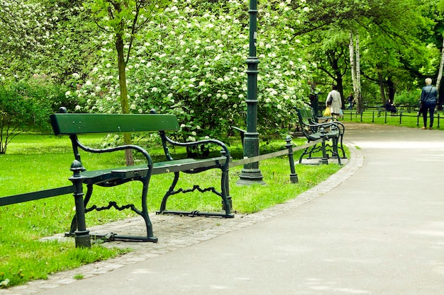 Bankje in groen park