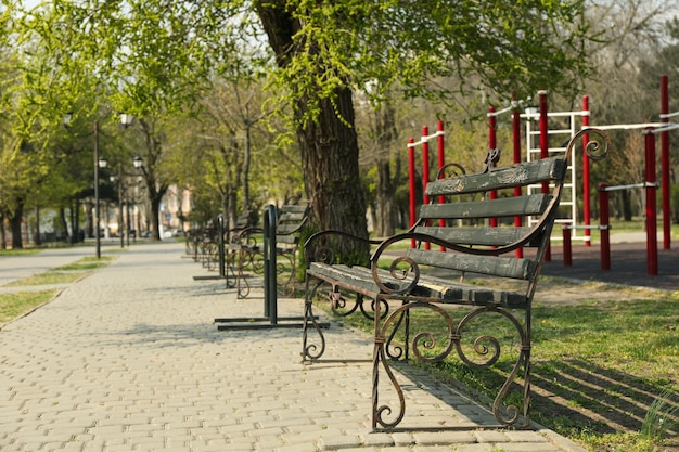 Bankje in het stadspark. Lentedag