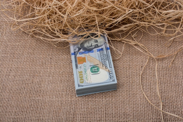 Banknote bundle of US dollar in a straw pile on canvas