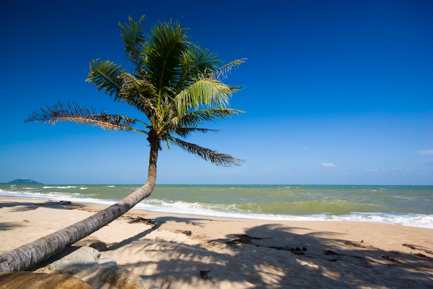 Bankrood-zeegezicht thailand