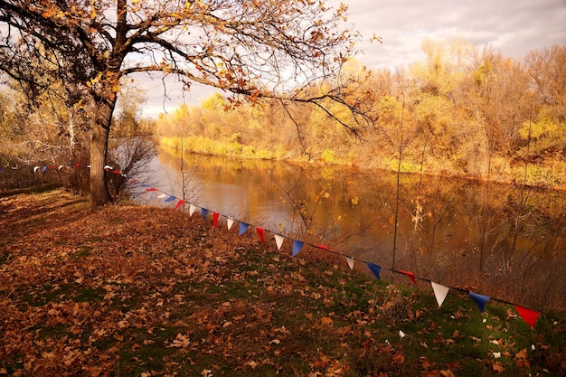 Photo banks of the erik river in the volgaakhtuba floodplain in autumn