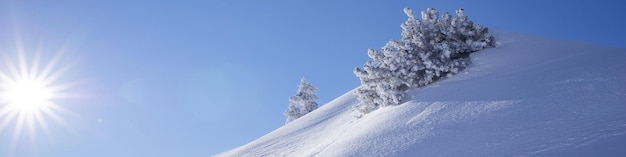 バナー 41 と山の風景氷山の松とまばゆいばかりの太陽