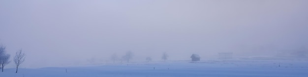 Banner 41 with snowcovered alpine village lonely trees and huts in the fog