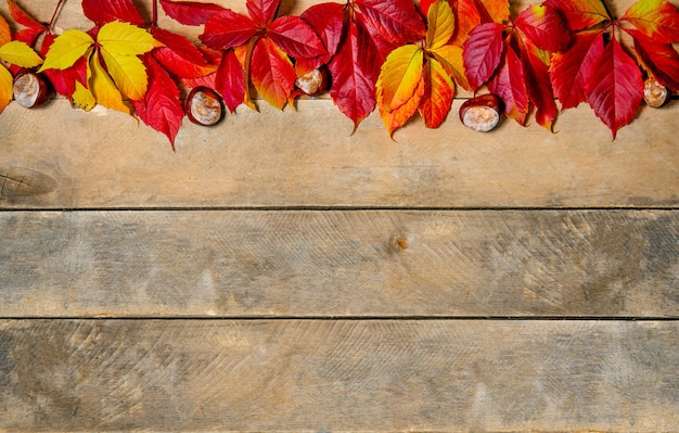 Banner. Autumn bright yellow-red leaves on a wooden